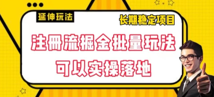注册流掘金批量玩法，可以实操落地【揭秘】-千羽资源库