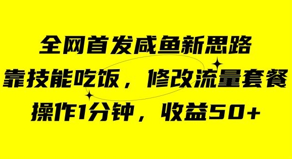 咸鱼冷门新玩法，靠“技能吃饭”，修改流量套餐，操作1分钟，收益50【揭秘】-千羽资源库