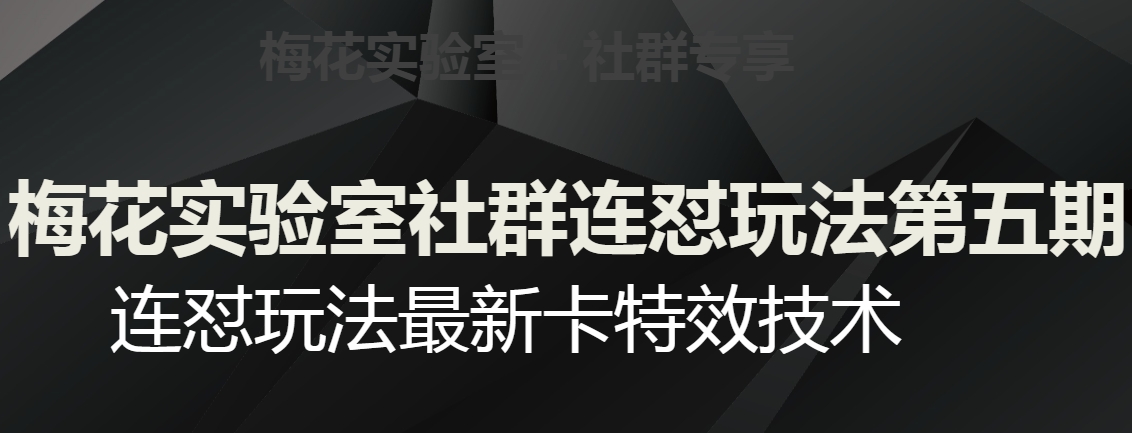 梅花实验室社群连怼玩法第五期，视频号连怼玩法最新卡特效技术-千羽资源库