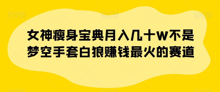 女神瘦身宝典月入几十W不是梦空手套白狼赚钱最火的赛道【揭秘】-千羽资源库