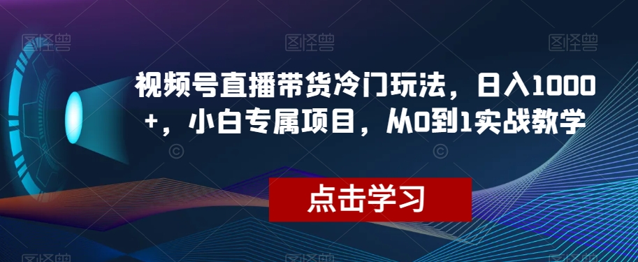 视频号直播带货冷门玩法，日入1000+，小白专属项目，从0到1实战教学【揭秘】-千羽资源库
