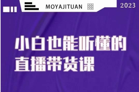 大威本威·能听懂的直播带货课，小白也能听懂，20节完整-千羽资源库