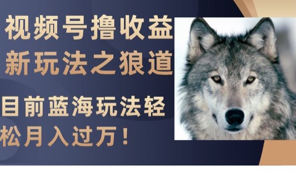 视频号撸收益新玩法之狼道，目前蓝海玩法，轻松月入过万【揭秘】-千羽资源库