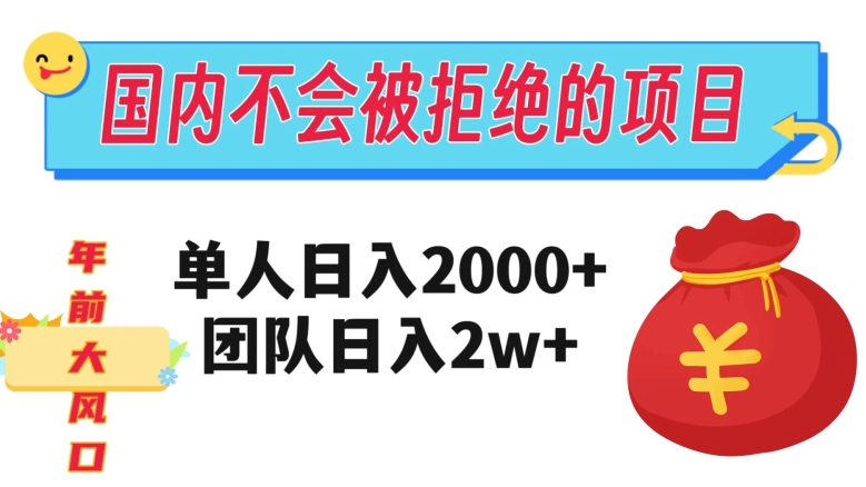 在国内不怕被拒绝的项目，单人日入2000，团队日入20000+【揭秘】-千羽资源库