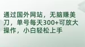 通过国外网站，无脑赚美刀，单号每天300+可放大操作，小白轻松上手【揭秘】-千羽资源库