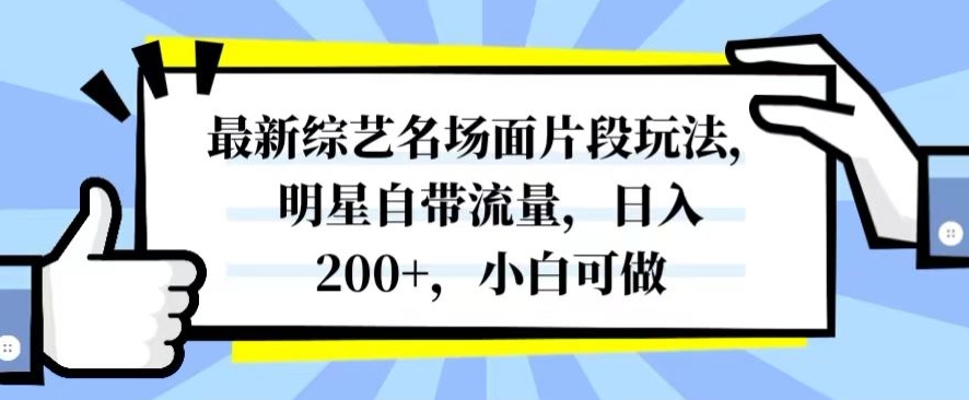 最新综艺名场面片段玩法，明星自带流量，日入200+，小白可做【揭秘】-千羽资源库