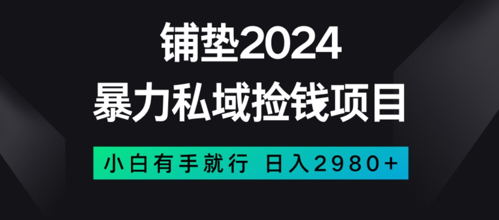 暴力私域捡钱项目，小白无脑操作，日入2980【揭秘】-千羽资源库