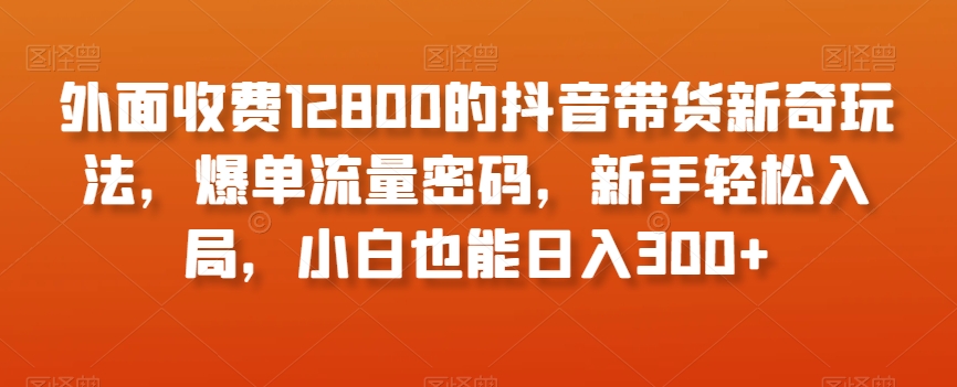 外面收费12800的抖音带货新奇玩法，爆单流量密码，新手轻松入局，小白也能日入300+【揭秘】-千羽资源库