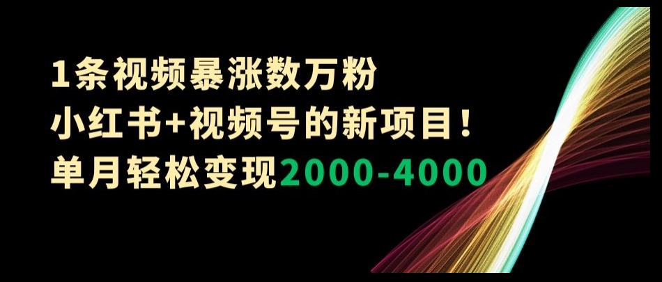 1条视频暴涨数万粉–小红书+视频号的新项目！单月轻松变现2000-4000【揭秘】-千羽资源库