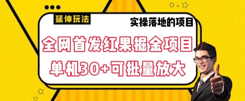 全网首发红果免费短剧掘金项目，单机30+可批量放大【揭秘】-千羽资源库