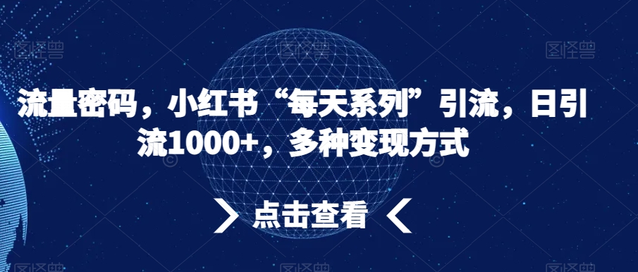 流量密码，小红书“每天系列”引流，日引流1000+，多种变现方式【揭秘】-千羽资源库