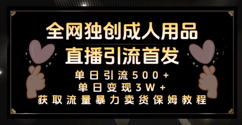 全网独创真人主播+无人直播单日引流500+，橙人用品暴力卖货单日变现3W+保姆似教学2.0【揭秘】-千羽资源库