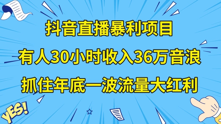 抖音直播暴利项目，有人30小时收入36万音浪，公司宣传片年会视频制作，抓住年底一波流量大红利【揭秘】-千羽资源库