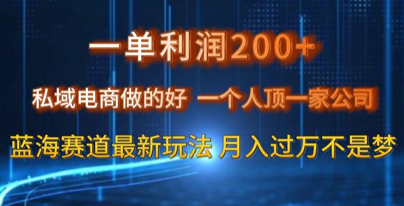 一单利润200私域电商做的好，一个人顶一家公司蓝海赛道最新玩法【揭秘】-千羽资源库