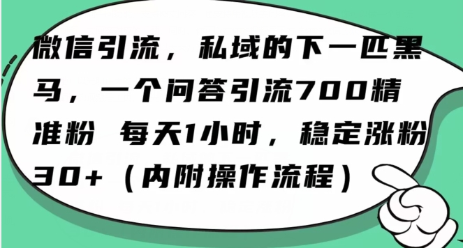 怎么搞精准创业粉？微信新赛道，每天一小时，利用Ai一个问答日引100精准粉-千羽资源库