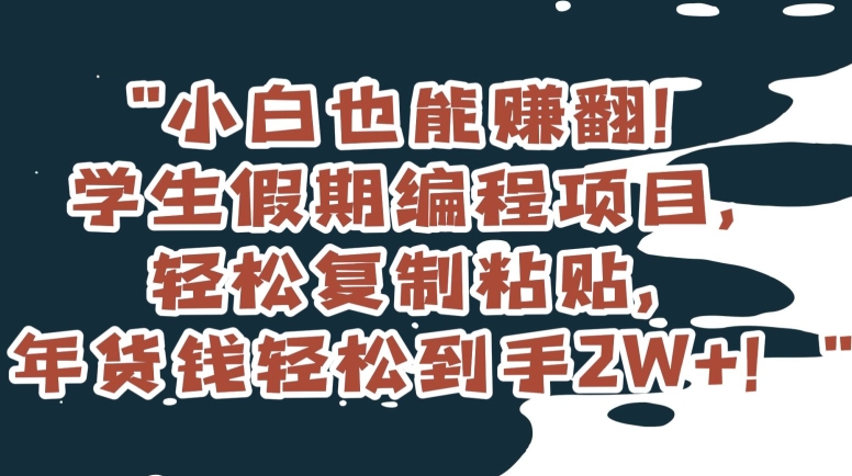 小白也能赚翻！学生假期编程项目，轻松复制粘贴，年货钱轻松到手2W+【揭秘】-千羽资源库