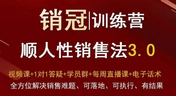 爆款！销冠训练营3.0之顺人性销售法，全方位解决销售难题、可落地、可执行、有结果-千羽资源库