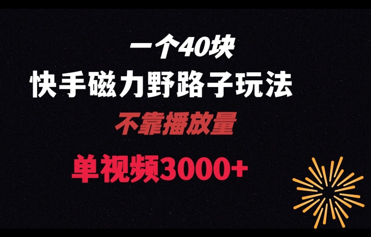 一个40块，快手联合美团磁力新玩法，无视机制野路子玩法，单视频收益4位数【揭秘】-千羽资源库