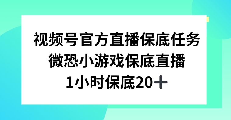 视频号直播任务，微恐小游戏，1小时20+【揭秘】-千羽资源库