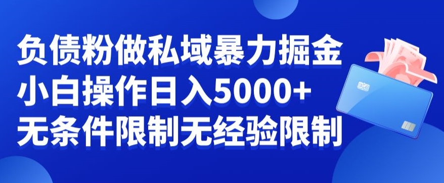 负债粉私域暴力掘金，小白操作入5000，无经验限制，无条件限制【揭秘】-千羽资源库