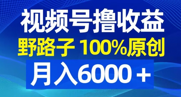 视频号野路子撸收益，100%原创，条条爆款，月入6000＋【揭秘】-千羽资源库