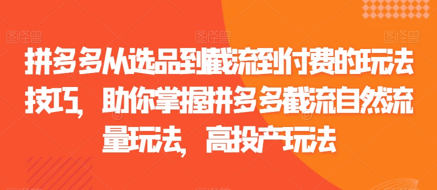 拼多多从选品到截流到付费的玩法技巧，助你掌握拼多多截流自然流量玩法，高投产玩法-千羽资源库