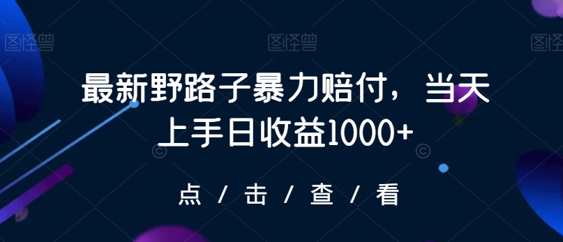 最新野路子暴力赔付，当天上手日收益1000+【仅揭秘】-千羽资源库
