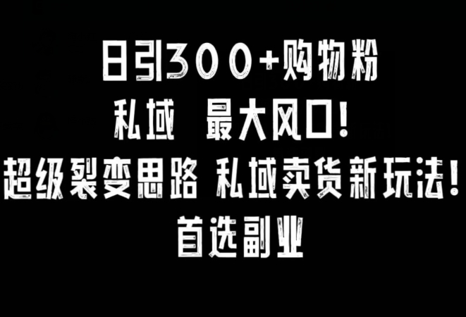 日引300+购物粉，超级裂变思路，私域卖货新玩法，小红书首选副业【揭秘】-千羽资源库