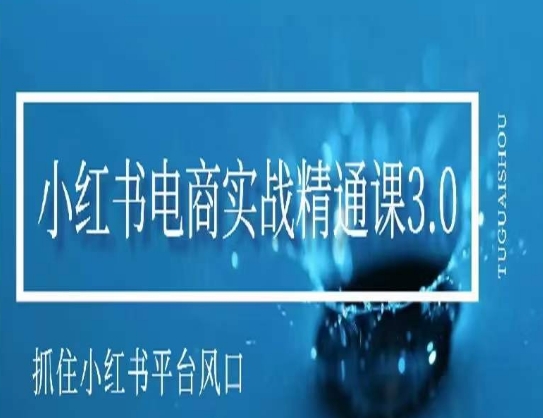 小红书电商实战精通课3.0，抓住小红书平台的风口，不错过有一个赚钱的机会-千羽资源库