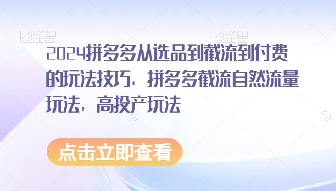 2024拼多多从选品到截流到付费的玩法技巧，拼多多截流自然流量玩法，高投产玩法-千羽资源库