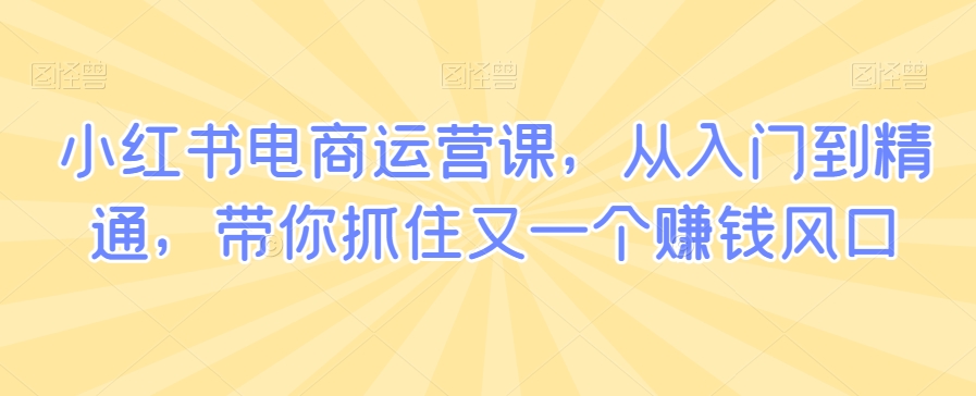 小红书电商运营课，从入门到精通，带你抓住又一个赚钱风口-千羽资源库