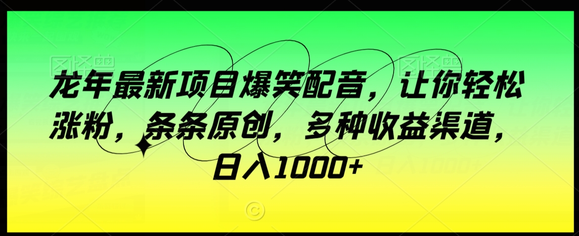 龙年最新项目爆笑配音，让你轻松涨粉，条条原创，多种收益渠道，日入1000+【揭秘】-千羽资源库