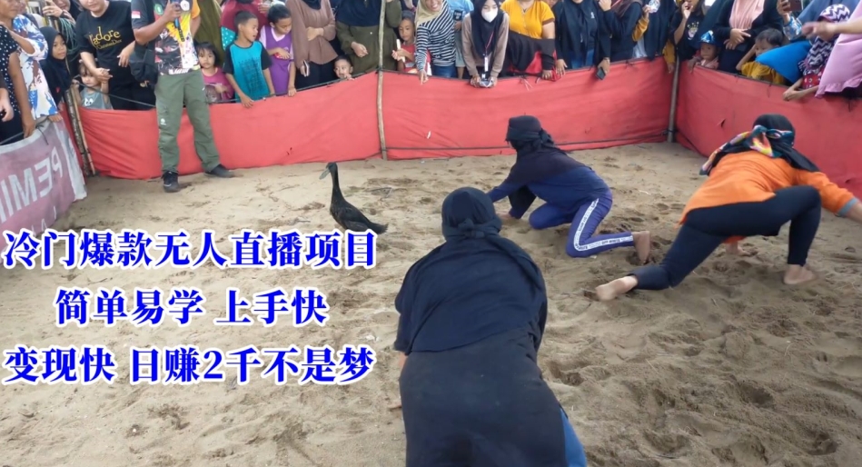 冷门爆款无人直播项目，简单易学上手快，变现快日赚2千不是梦【揭秘】-千羽资源库