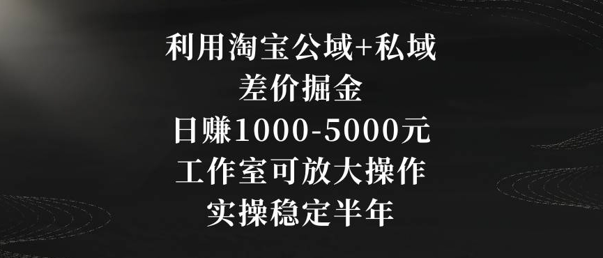 利用淘宝公域+私域差价掘金，日赚1000-5000元，工作室可放大操作，实操稳定半年【揭秘】-千羽资源库