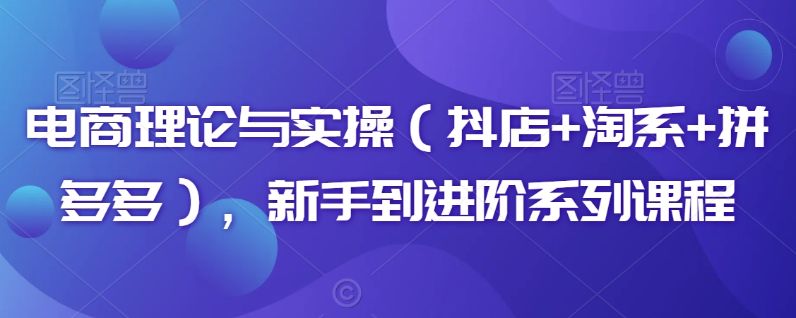 电商理论与实操（抖店+淘系+拼多多），新手到进阶系列课程-千羽资源库