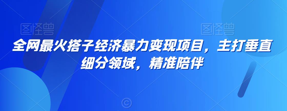 全网最火搭子经济暴力变现项目，主打垂直细分领域，精准陪伴【揭秘】-千羽资源库
