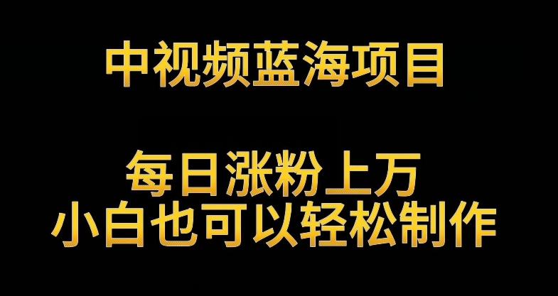 中视频蓝海项目，解读英雄人物生平，每日涨粉上万，小白也可以轻松制作，月入过万不是梦【揭秘】-千羽资源库
