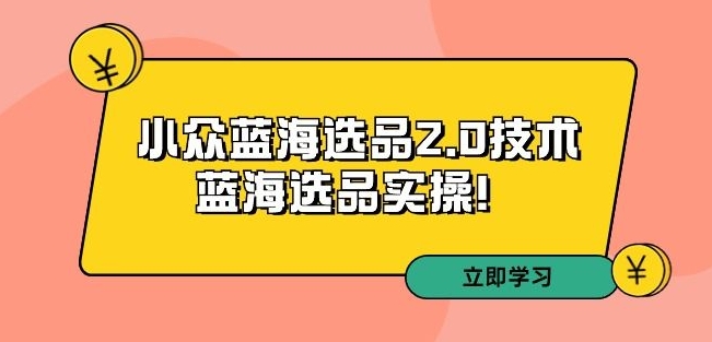 拼多多培训第33期：小众蓝海选品2.0技术-蓝海选品实操！-千羽资源库