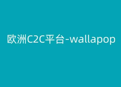 欧洲C2C平台-wallapop-kim跨境电商教程-千羽资源库