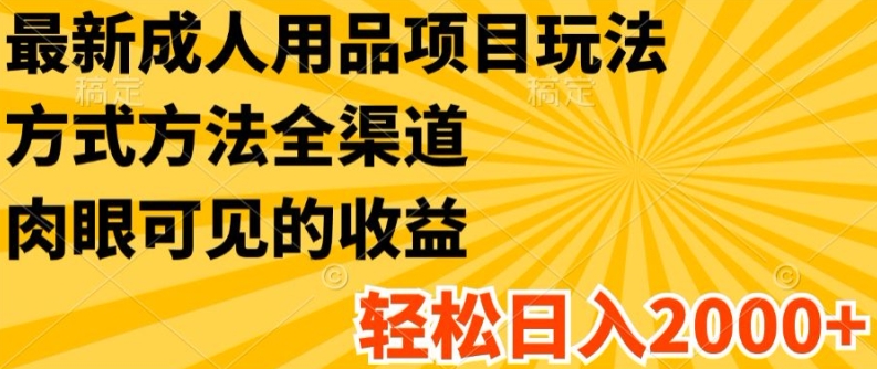 最新成人用品项目玩法，方式方法全渠道，轻松日入2K+【揭秘】-千羽资源库