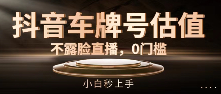 抖音车牌号估值，不露脸直播，0门槛，小白秒上手【揭秘】-千羽资源库