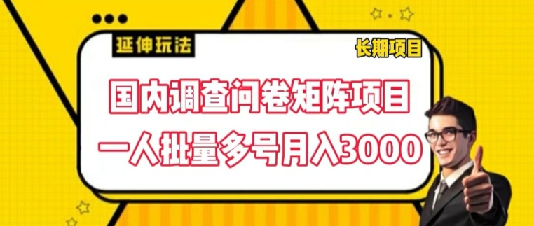 国内调查问卷矩阵项目，一人批量多号月入3000【揭秘】-千羽资源库