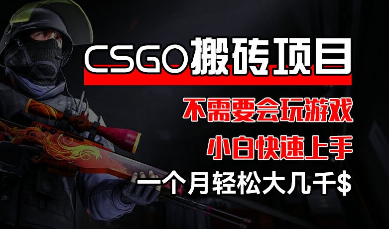 CSGO 装备搬砖项目，操作简单，不需要会玩游戏，小白也能快速上手，一个月轻松大几千【揭秘】-千羽资源库