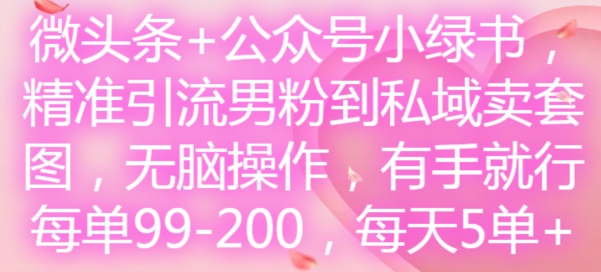 微头条+公众号小绿书，精准引流男粉到私域卖套图，无脑操作，有手就行，每单99-200，每天5单-千羽资源库