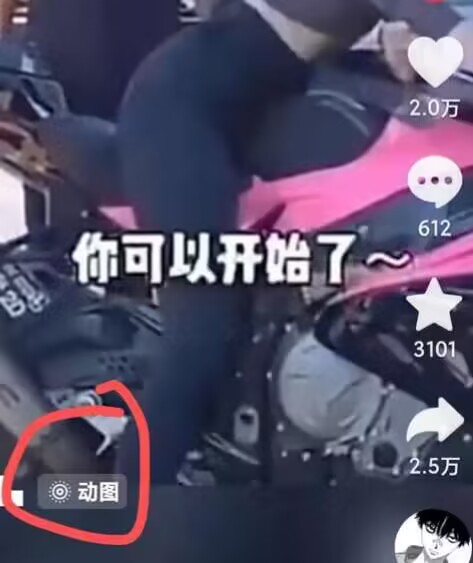 2024年7月苹果手机动图搬运技术-千羽资源库
