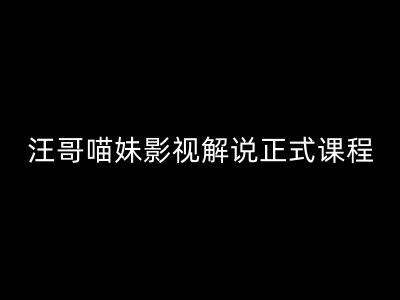汪哥影视解说正式课程：剪映/PR教学/视解说剪辑5大黄金法则/全流程剪辑7把利器等等-千羽资源库