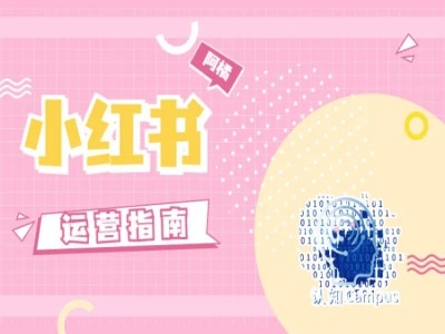 小红书运营指南，没有套路，全是经验-千羽资源库