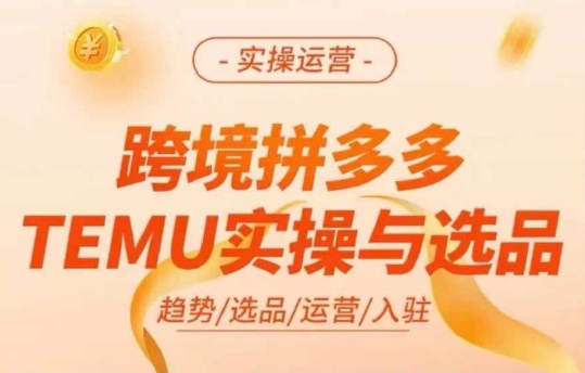 跨境拼多多TEMU实操与选品，多多temu跨境选品运营实操-千羽资源库