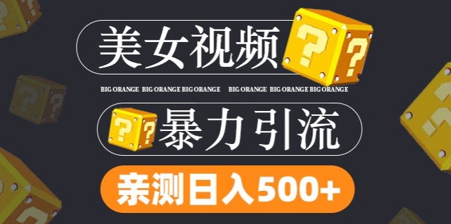 搬运tk美女视频全网分发，日引s粉300+，轻松变现，不限流量不封号【揭秘】-千羽资源库