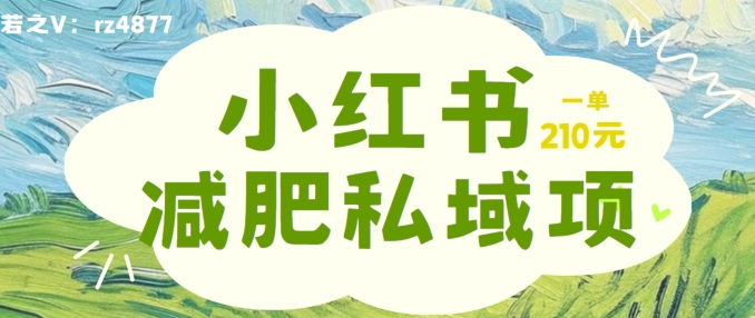 小红书减肥粉，私域变现项目，一单就达210元，小白也能轻松上手【揭秘】-千羽资源库